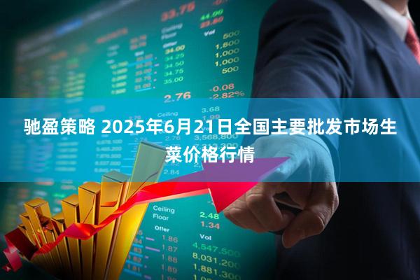 驰盈策略 2025年6月21日全国主要批发市场生菜价格行情